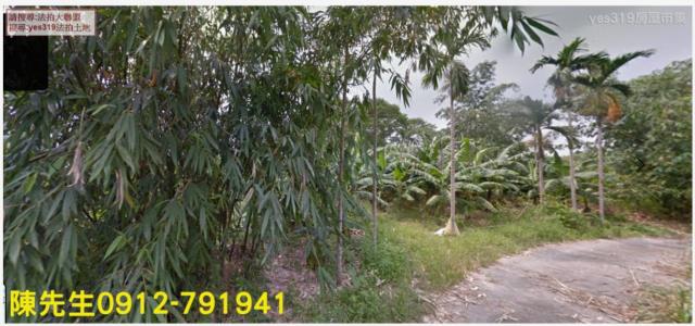 台南農地法拍-2