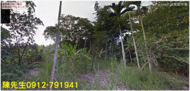 台南農地法拍-7