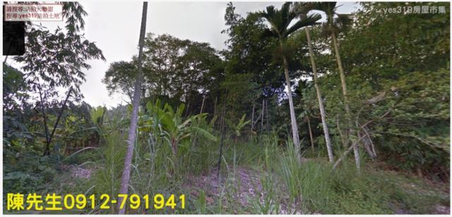 台南農地法拍-8