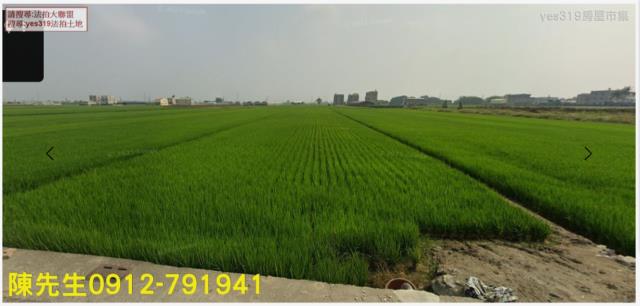 嘉義溪口農地法拍-7