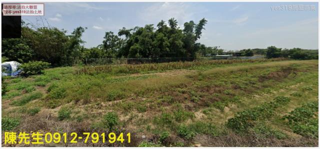 嘉義新港法拍農地-0