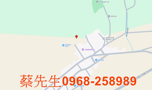 海端法拍農地-6