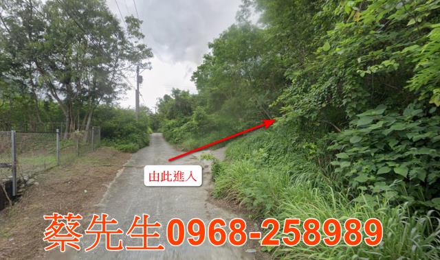 海端農地法拍-12