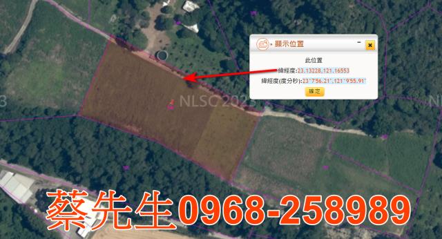 海端農地法拍-14