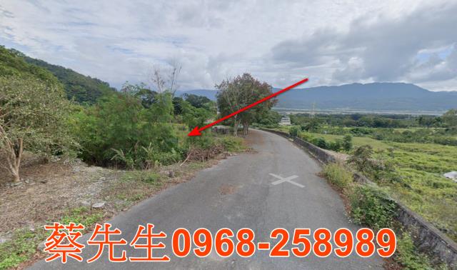 海端農地法拍-13