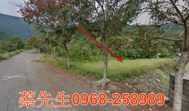 海端農地法拍-3