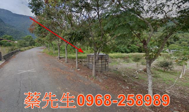 海端農地法拍-4