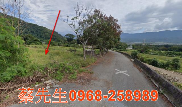 海端農地法拍-6