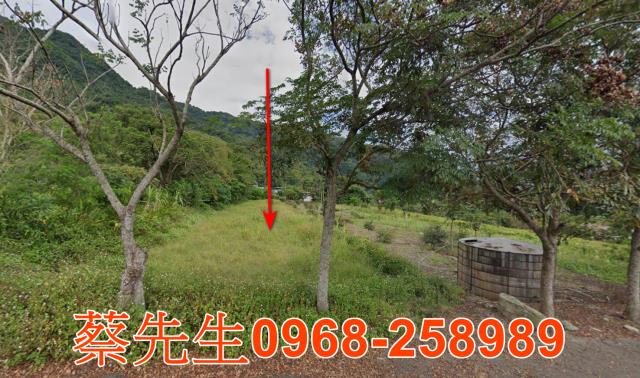 海端農地法拍-8