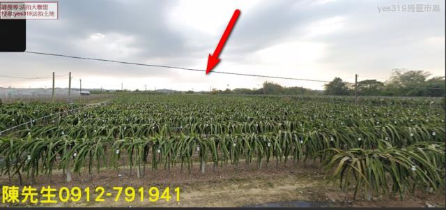 中埔農地法拍-7