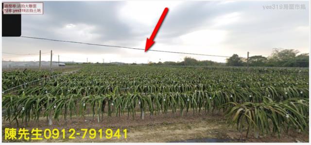 中埔農地法拍-8