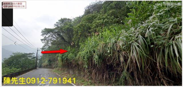 信義鄉林地拍賣-9