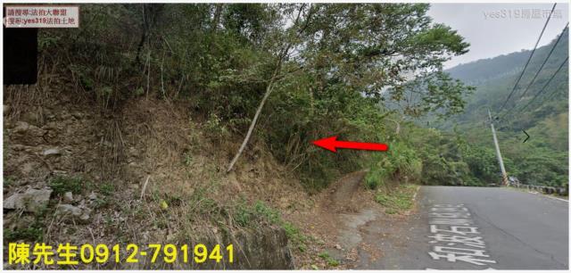 信義鄉林地拍賣-10