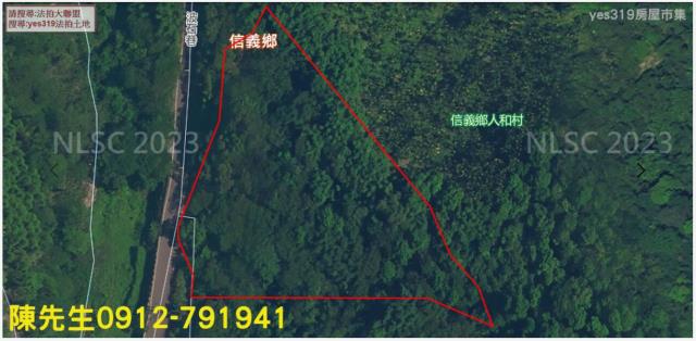 信義鄉林地拍賣-11