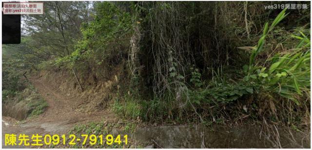 信義鄉林地拍賣-7