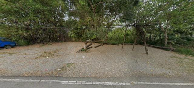 台東農地法拍-0