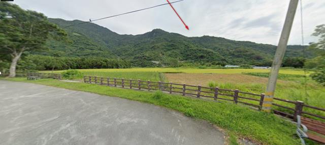 台東延平法拍農地-0