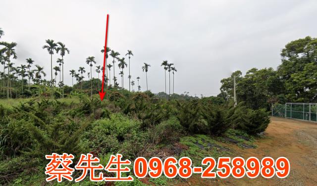 彰化芬園農地法拍-6