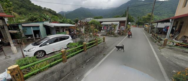 延平法拍建地-11