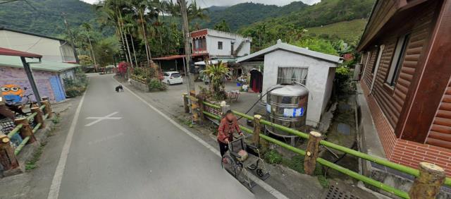 延平法拍建地-12