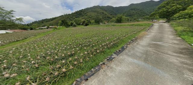 台東延平農地法拍-11