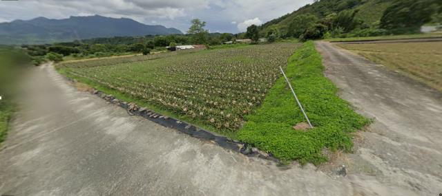 台東延平農地法拍-0