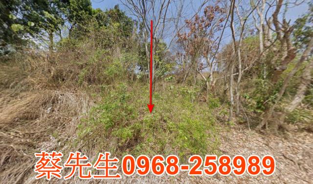 彰化花壇拍賣農地-0