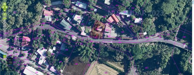 台東海端法拍建地-9