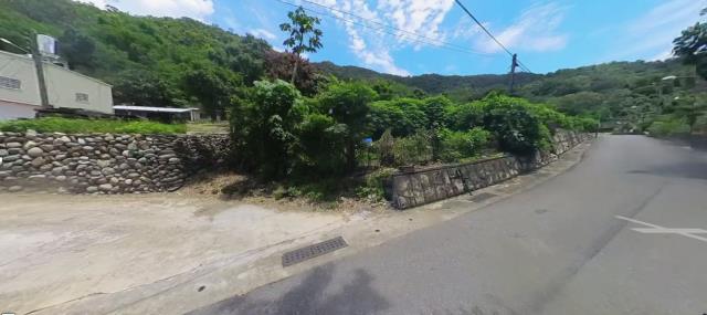 台東海端法拍建地-13