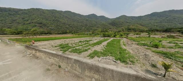 台東海端農地法拍-0