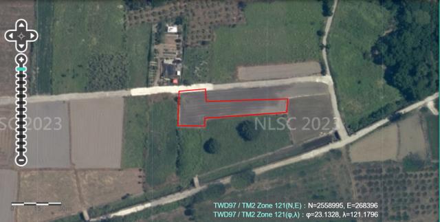 海端農地法拍-9