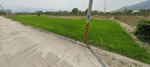 海端農地法拍-12