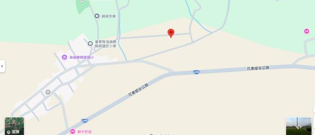 海端農地法拍-13