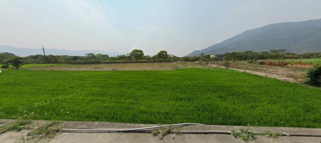 海端農地法拍-0