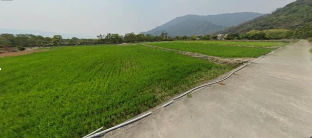 台東法拍農地-11