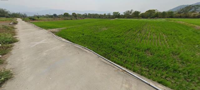 台東法拍農地-12