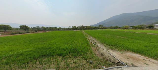 台東法拍農地-8