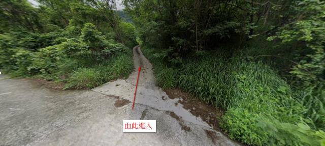 台東農地拍賣-0