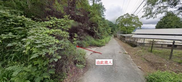 台東農地拍賣-4