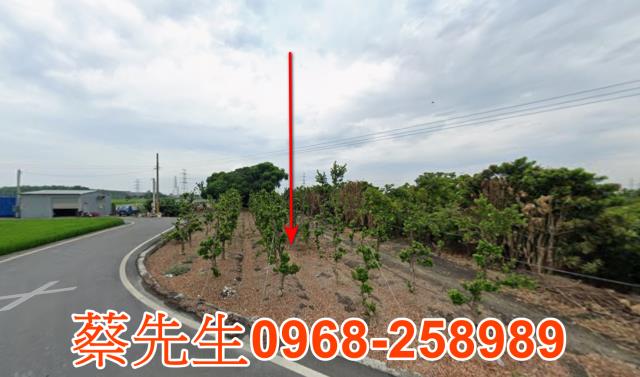 彰化埤頭農地法拍-12