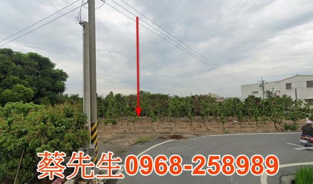 彰化埤頭農地法拍-13