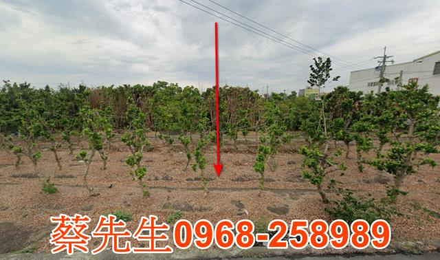 彰化埤頭農地法拍-8