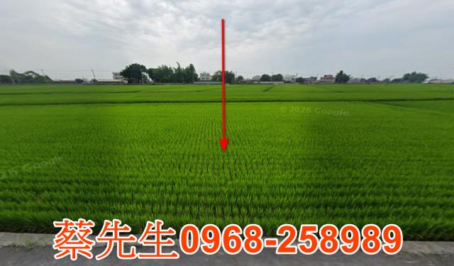 彰化埤頭農地法拍-0