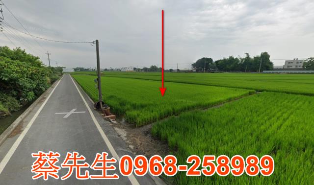 彰化埤頭農地法拍-3
