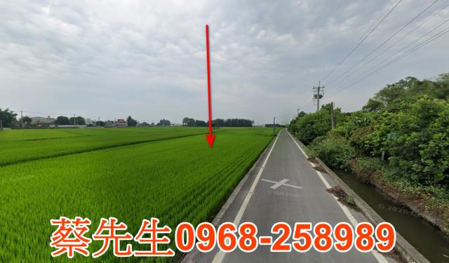 彰化埤頭農地法拍-5