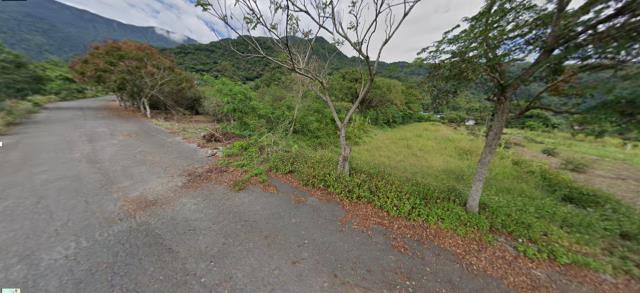 台東法拍農地-11