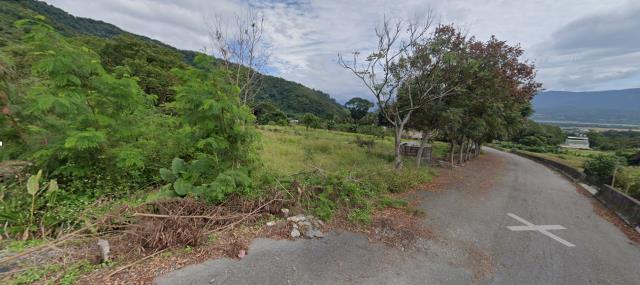 台東法拍農地-12