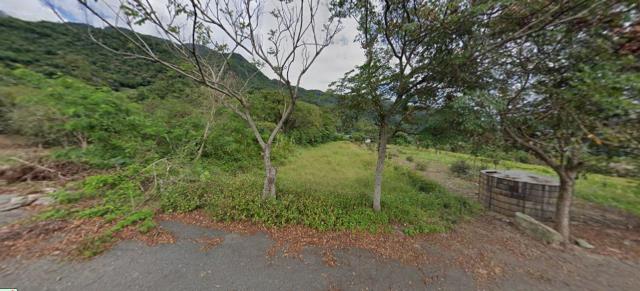 台東法拍農地-0