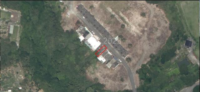 台東成功法拍建地-9