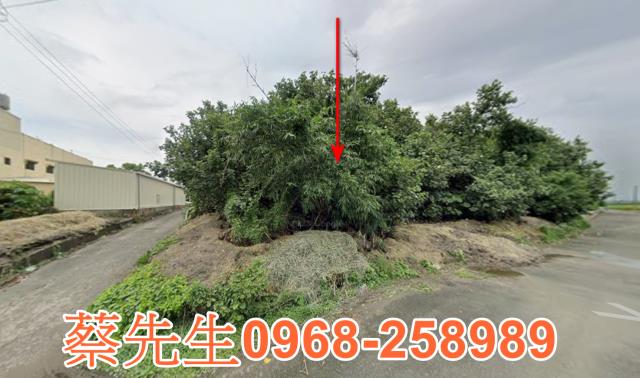 雲林褒忠農地法拍-11
